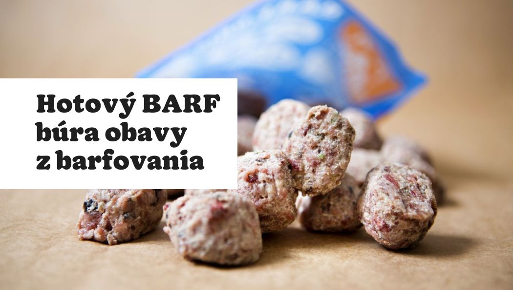 6 dôvodov, prečo je hotový BARF ideálny spôsob ako začať s barfovaním