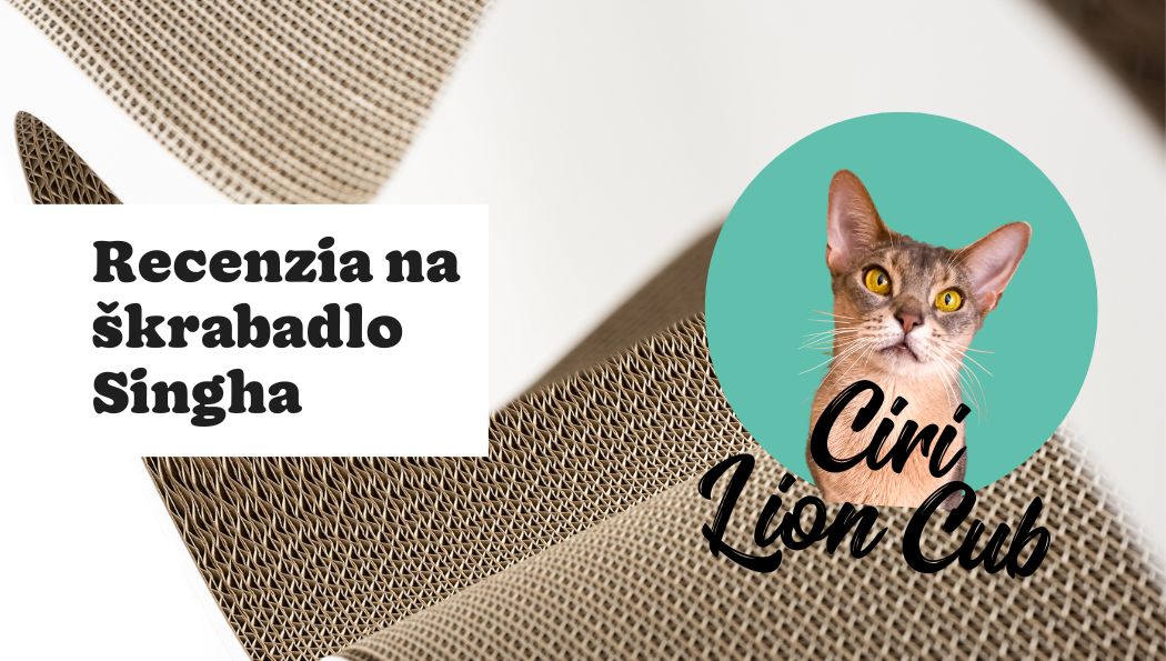 Recenzia na škrabadlo Singha od Ciri Lion Cub