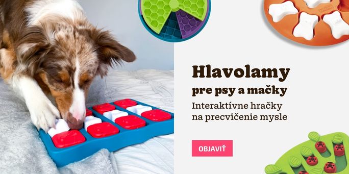 Hlavolamy