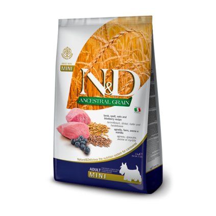 nd ag adult mini lamb