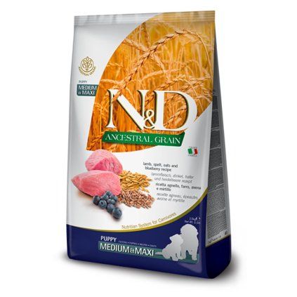 nd puppy medium maxi kamb