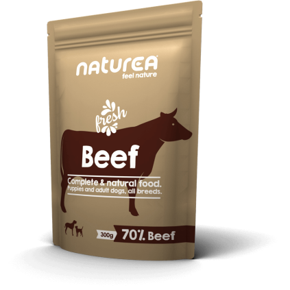 dog pouch beef 300g