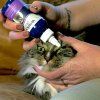 Vetericyn Eye Wash Universal prípavok na čistenie očí zvierat 89 ml