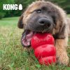 Kong Classic Granát hračka pre psy