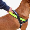 Zee.dog No-Pull SofterWalk postroj proti ťahaniu Nox