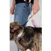 dog leash control lebeddie 639x1024