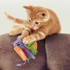PULL A PARTZ PURRITO 2