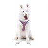 woolly wolf postroj mauve 3