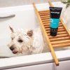 dog spa day sampon pre psa animology 2