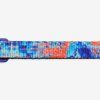 glich 404 cat collar main 4