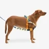 zeedog soft walk harness voyage main 4.jpg