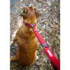EZYDOG vodítko ZERO SHOCK LEASH - 120 cm čierne